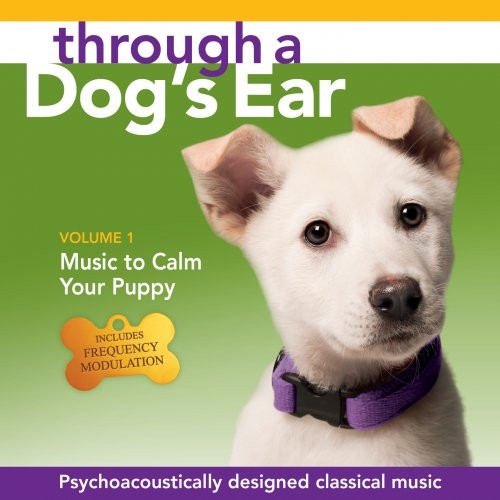 through a s ear through a s ear through a s ear through a s ear