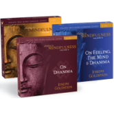 Abiding in Mindfulness Collection