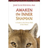 Awaken the Inner Shaman